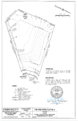 LOT 343